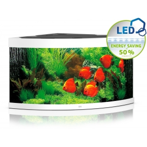 AKWARIUM TRIGON 350 LED BIAŁY