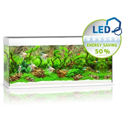 AKWARIUM RIO 240 LED BIAŁY